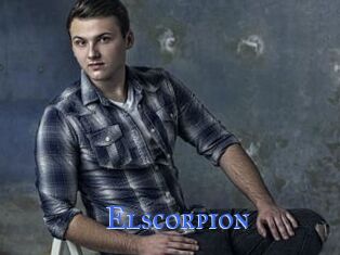 Elscorpion