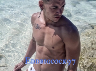 Eddbigcock97