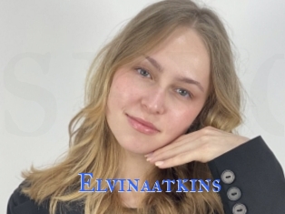 Elvinaatkins