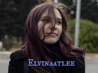 Elvinaatlee