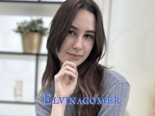 Elvinagomer