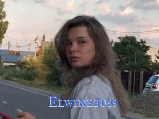 Elwinebuss