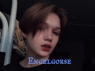 Engelgorse