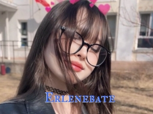 Erlenebate