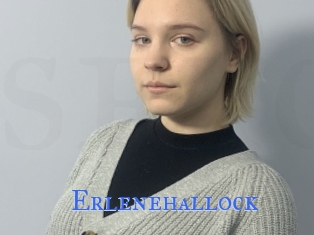 Erlenehallock