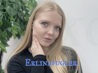 Erlinafugler
