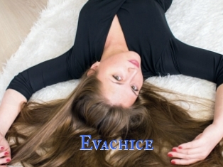 Evachice