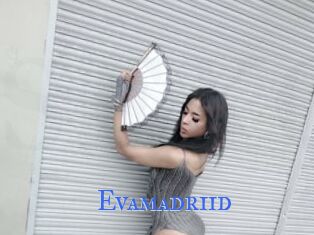 Evamadriid