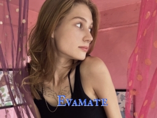 Evamate