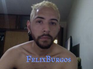 FelixBurgos