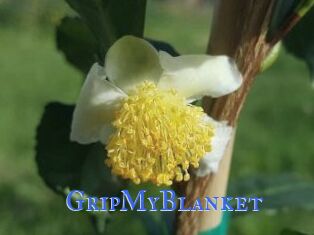 GripMyBlanket