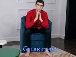 Gilbertpup