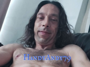 HandyAndy79