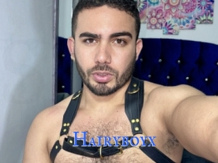 Hairyboyx