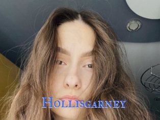 Hollisgarney