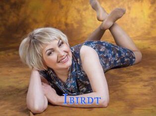 Ibirdt