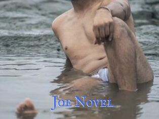 Joe_Novel