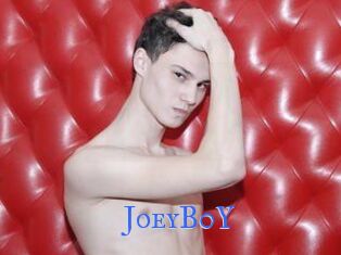 JoeyB0Y
