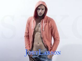 JoeyLarson