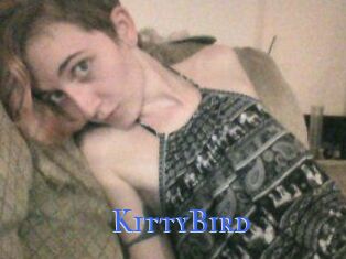 KittyBird