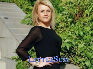 LittleSusy