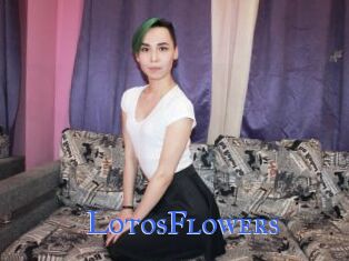 LotosFlowers