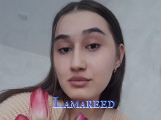 Lamareed