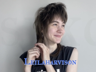 Leilaharvison