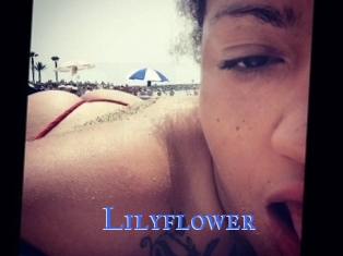 Lilyflower