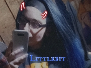 Littlebit