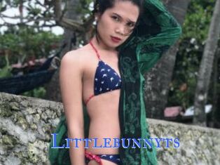 Littlebunnyts