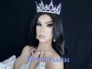Littlesamm