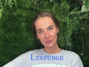 Lynfudge