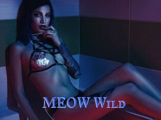 MEOW_Wild