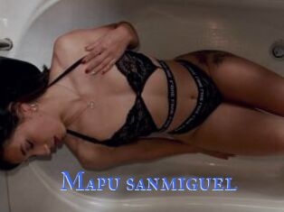Mapu_sanmiguel