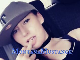 MontanaMustange