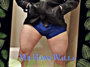 Mr_Hawg_Walla