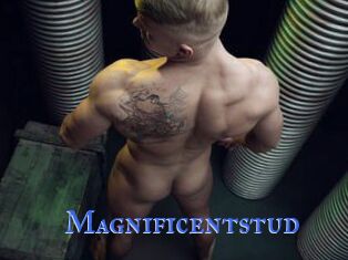 Magnificentstud