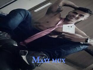 Maxi_mux