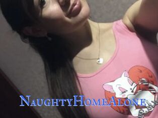 NaughtyHomeAlone