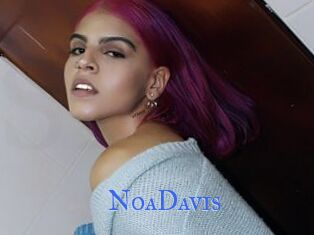NoaDavis