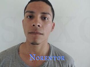 Noren_tor