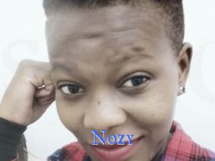 Nozy