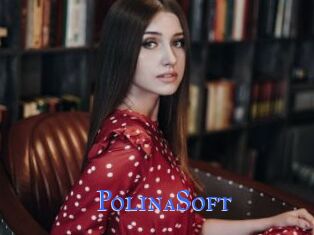 PolinaSoft