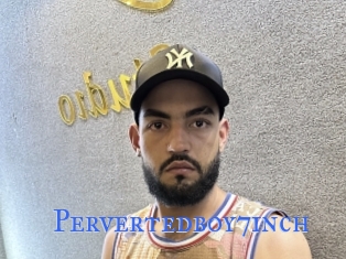 Pervertedboy7inch
