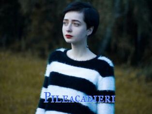 Pileacadieri