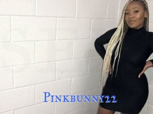 Pinkbunny22