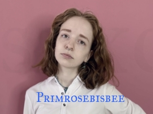 Primrosebisbee