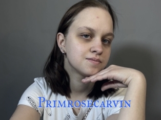 Primrosecarvin