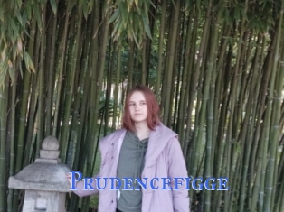 Prudencefigge